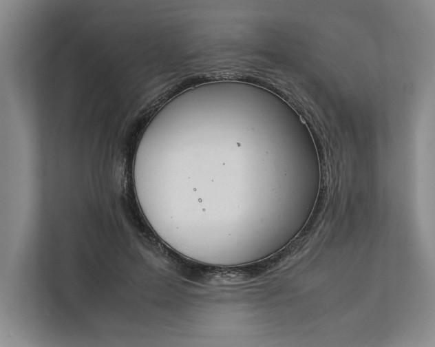 X0000111880599200908061315