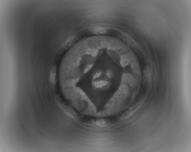 X0000111880600200908061315