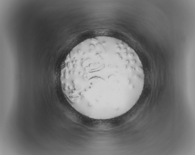 X0000111880601200908061315