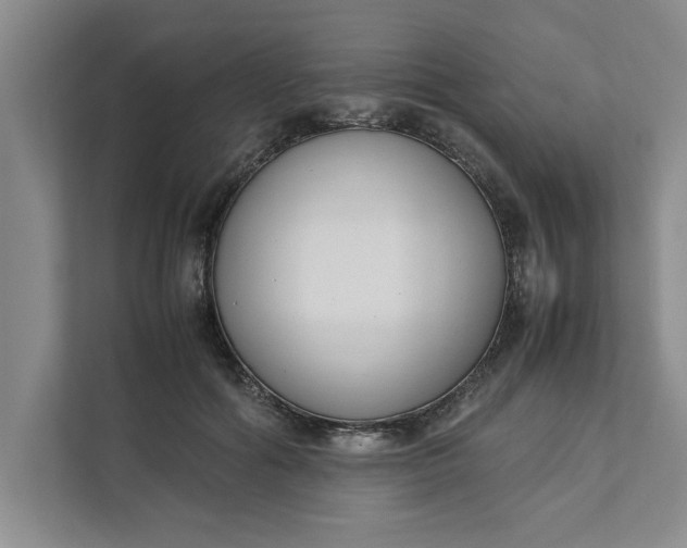 X0000111880602200908061315