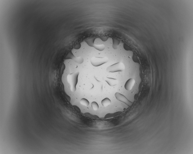 X0000111880605200908061315