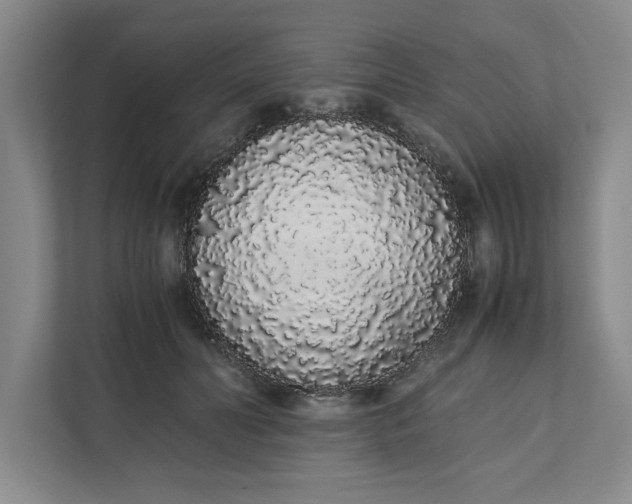 X0000111880606200908061315