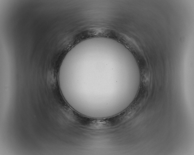 X0000111880607200908061315