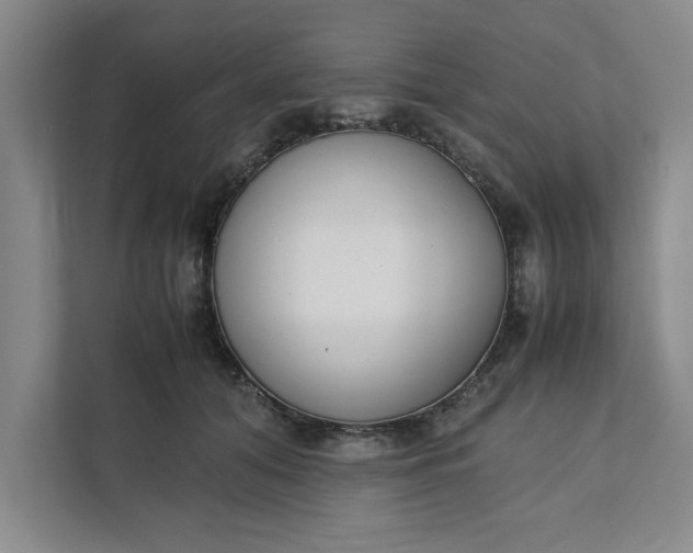 X0000111880608200908061315