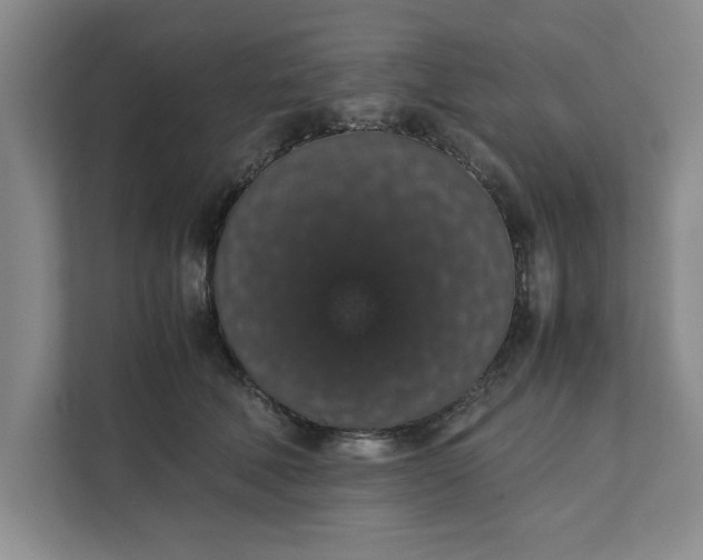 X0000111880610200908061315