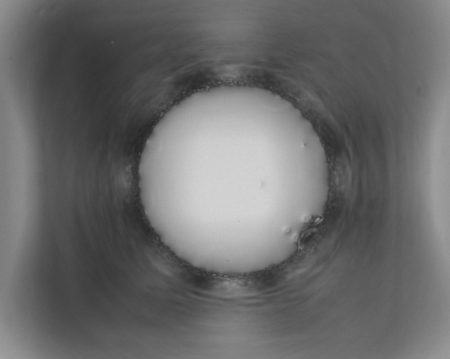 X0000111880611200908061315