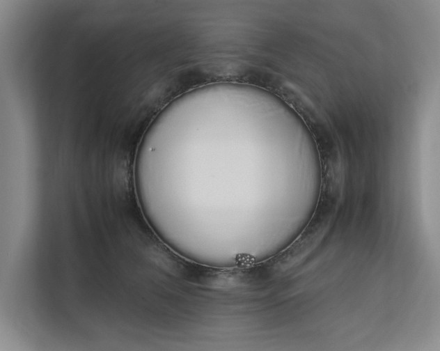 X0000111880612200908061315