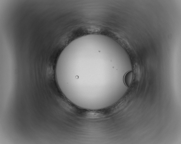 X0000111880614200908061315