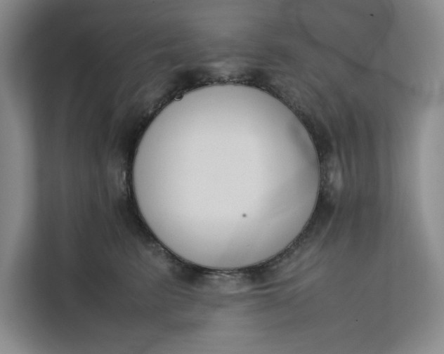 X0000111880615200908061315