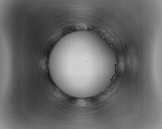 X0000111880616200908061315