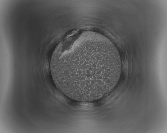 X0000111880617200908061315