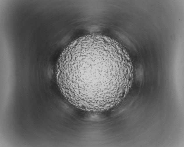 X0000111880618200908061315