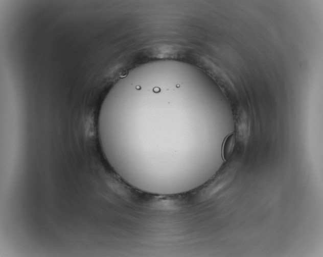 X0000111880620200908061315