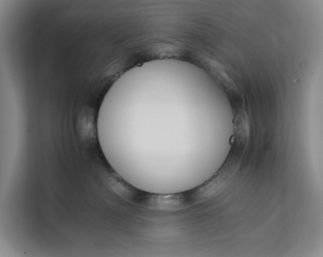 X0000111880622200908061315