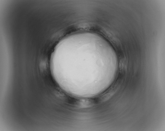 X0000111880623200908061315