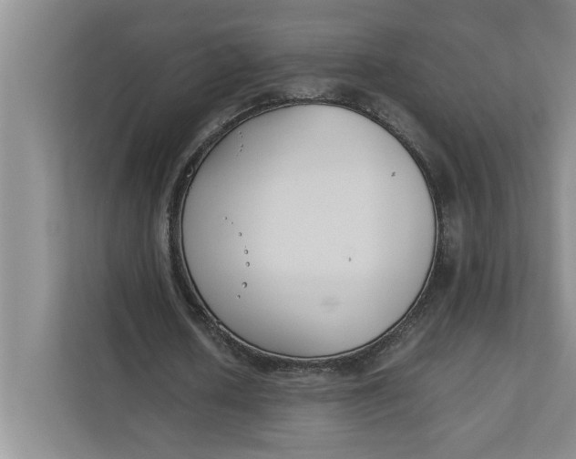 X0000111880626200908061314