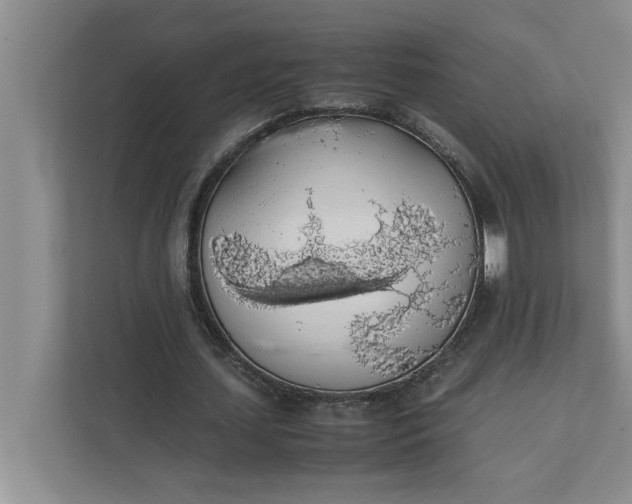 X0000111880627200908061314