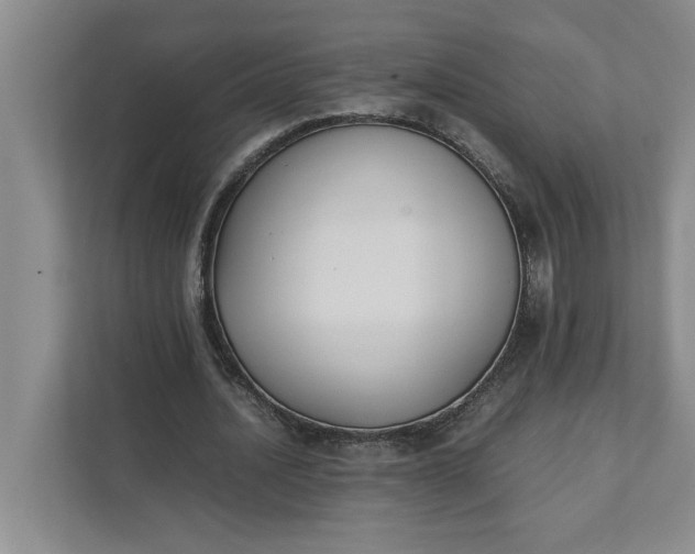 X0000111880628200908061314