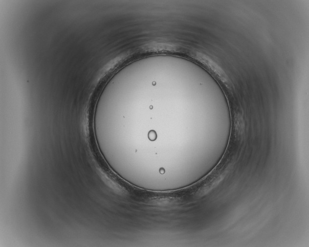 X0000111880629200908061314