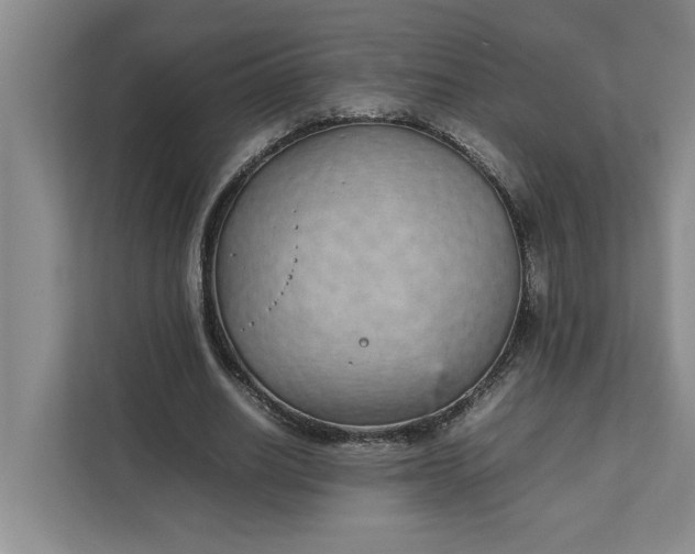 X0000111880630200908061314