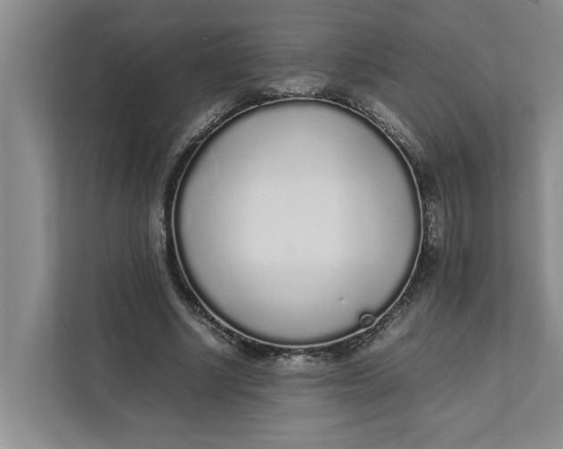 X0000111880634200908061314