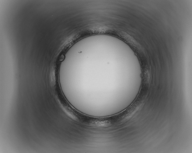 X0000111880638200908061315