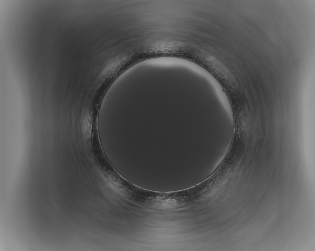 X0000111880640200908061315