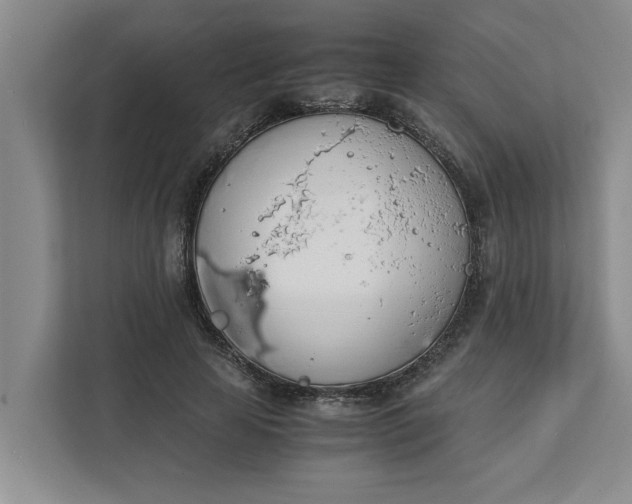 X0000111880641200908061315