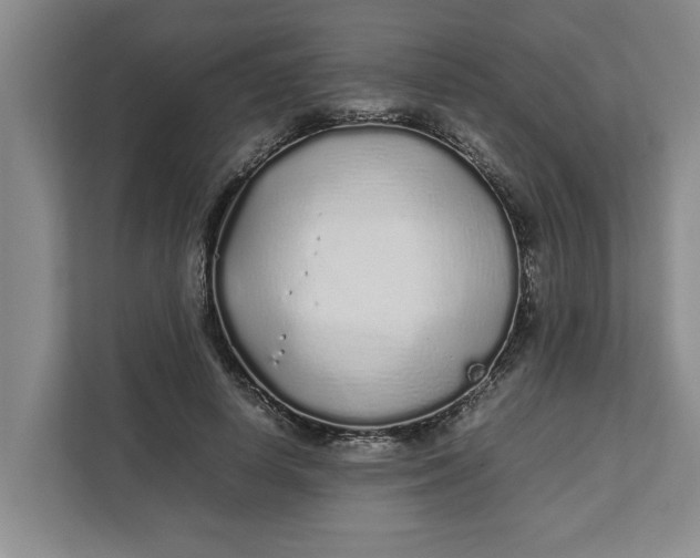 X0000111880642200908061315