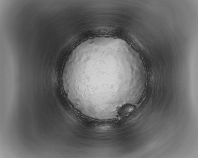 X0000111880643200908061315