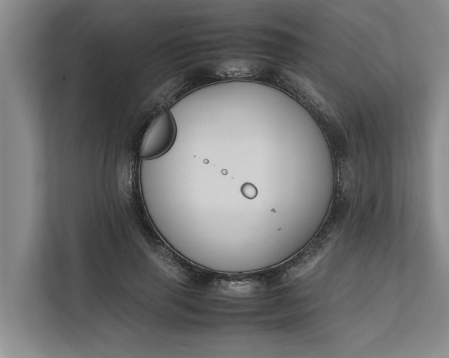 X0000111880645200908061315