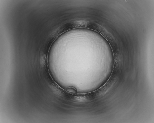 X0000111880649200908061315