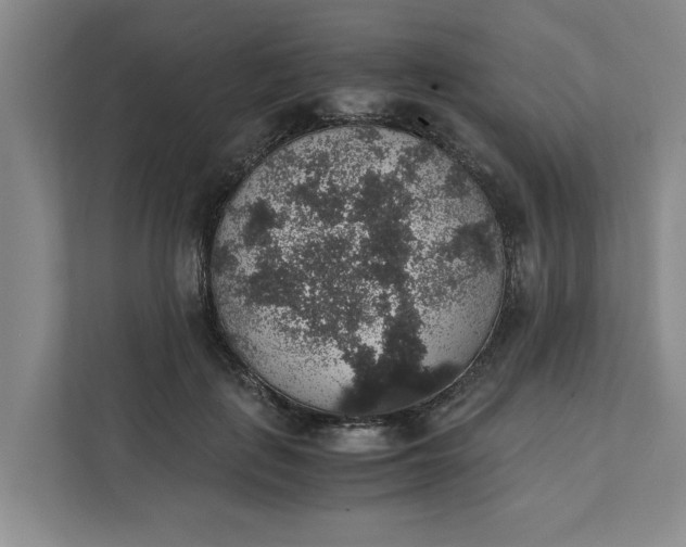 X0000111880651200908061315