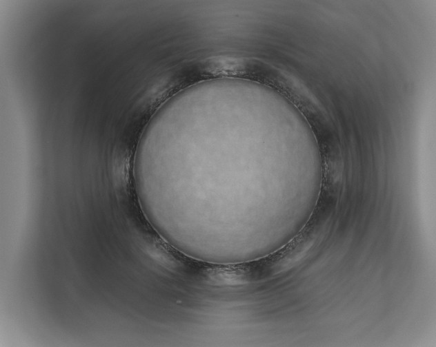 X0000111880652200908061315