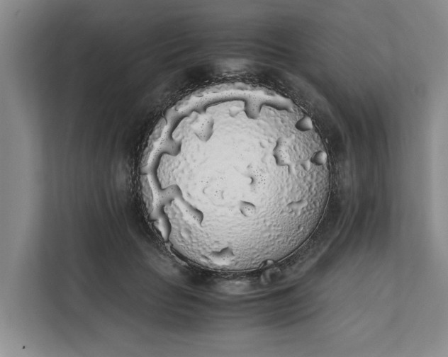 X0000111880653200908061315