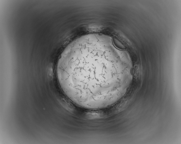 X0000111880655200908061315