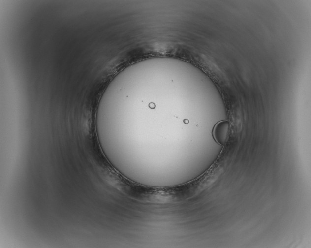 X0000111880656200908061315