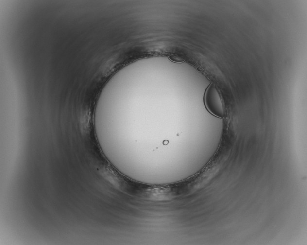 X0000111880660200908061315