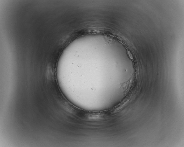 X0000111880661200908061315