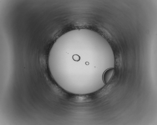 X0000111880662200908061315