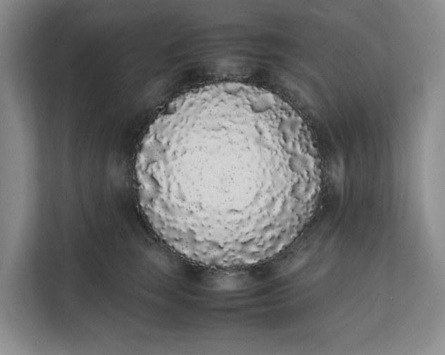 X0000111880663200908061315