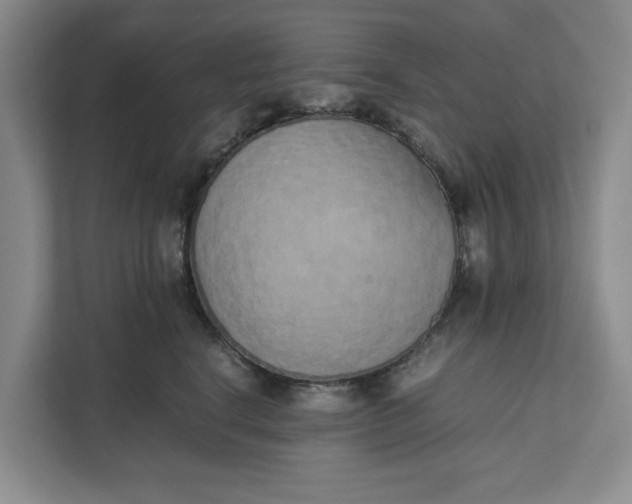 X0000111880664200908061315