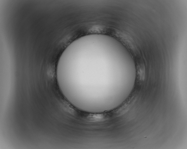 X0000111880665200908061315