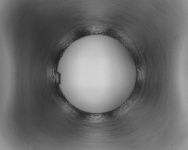 X0000111880666200908061315