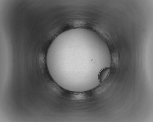 X0000111880667200908061315