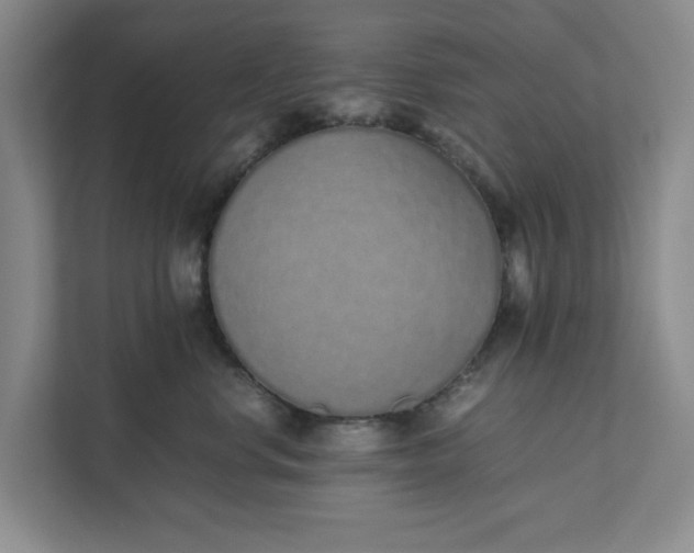 X0000111880668200908061315