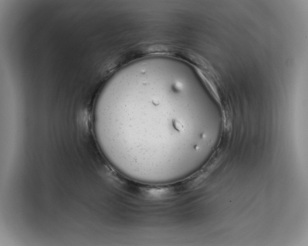 X0000111880669200908061315