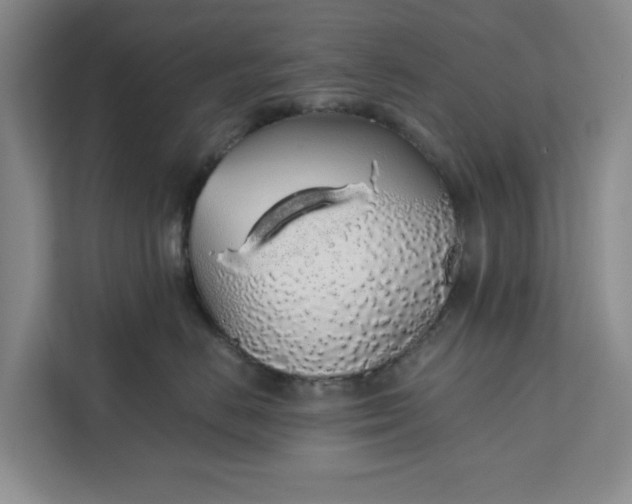 X0000111880670200908061315