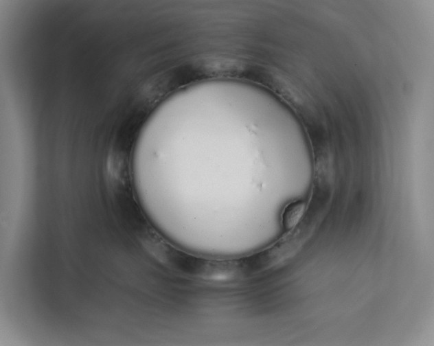 X0000111880671200908061315