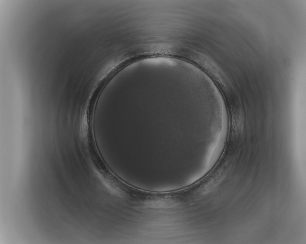 X0000111880674200908061314